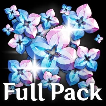 All in One Bundle