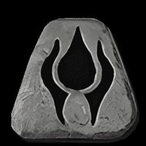 [PC] Softcore > Ladder S15 > Runes:21# Pul