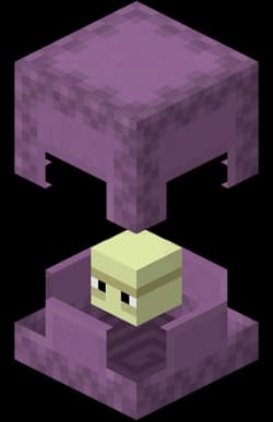 Full Shulker of Skeleton Spawner (1728)