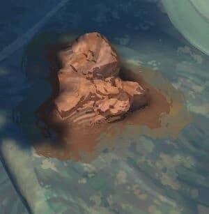 Bentonite Clay