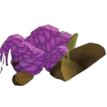 Truffle Patch