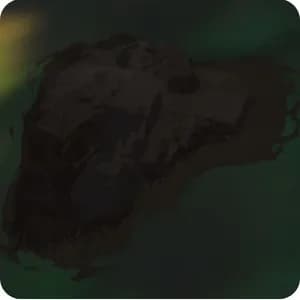 Mud Mound
