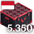 5350 VP - ID
