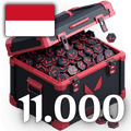 11000 VP - ID