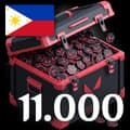 11000 VP - PH