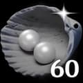 60 Echo Beads